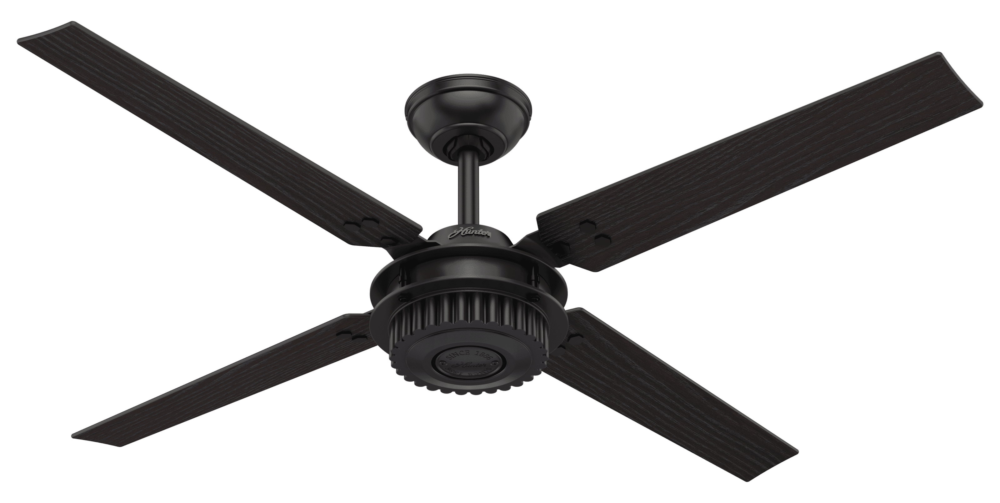 Hunter Chronicle 54" Indoor/Outdoor Ceiling Fan in Matte Black