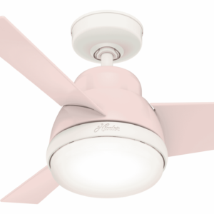 Hunter 2-Light 36" Indoor Ceiling Fan in Blush Pink