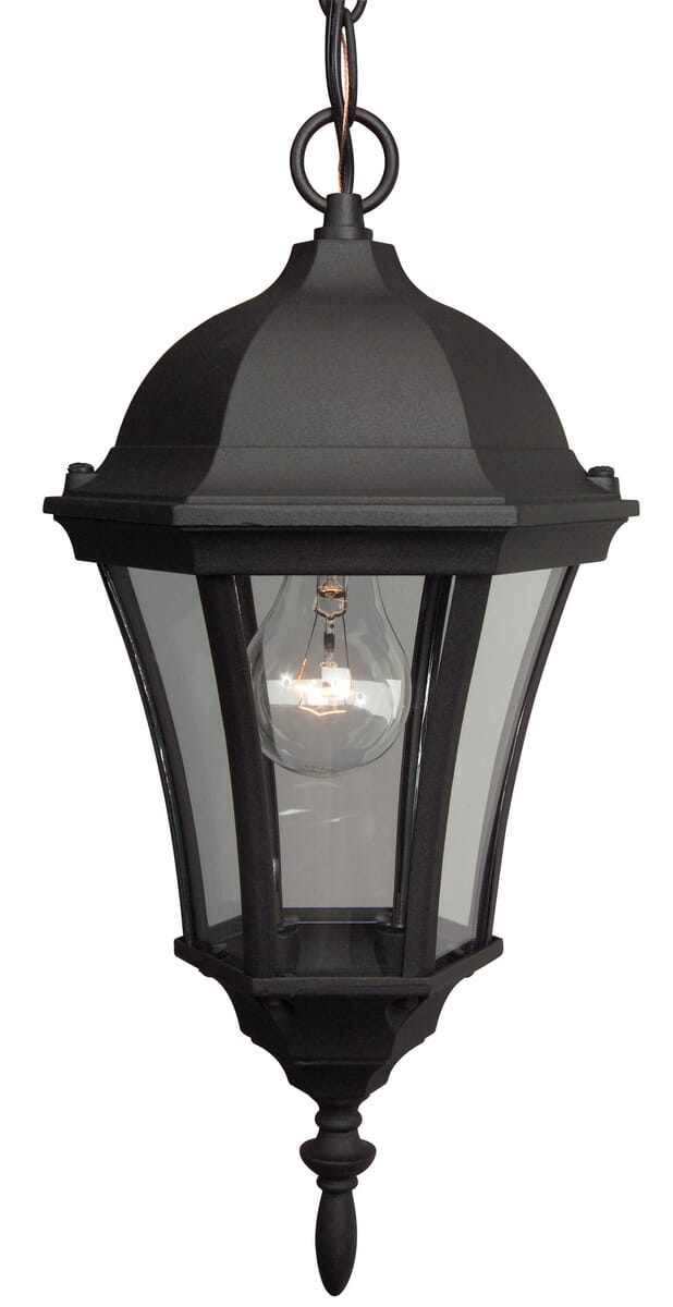 Exteriors by Craftmade Outdoor Curved Glass Cast Aluminum Medium Pendant in Matte Black